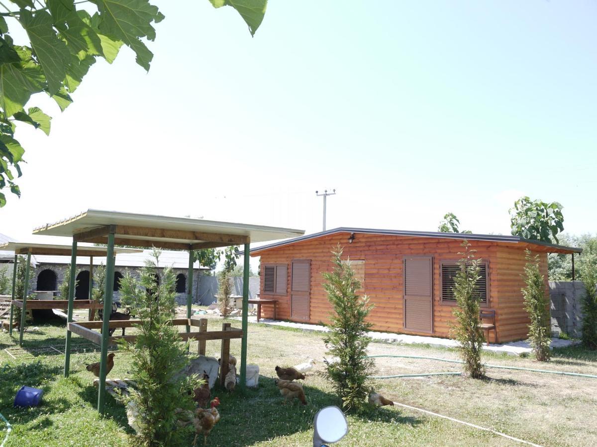 Windmill Shkodra Gesthouse Camping & Grill エクステリア 写真