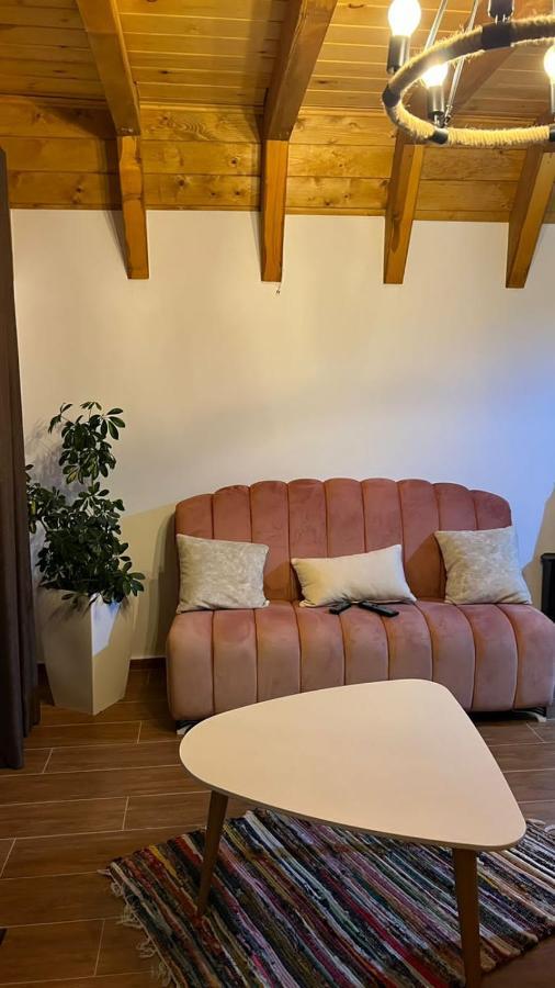 Windmill Shkodra Gesthouse Camping & Grill エクステリア 写真